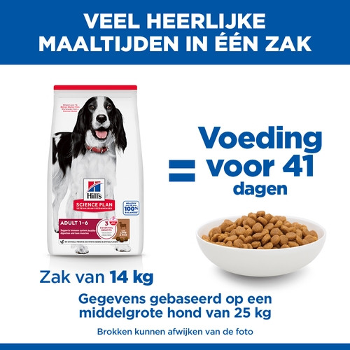 Hill's Adult Medium met lam & rijst hondenvoer