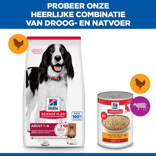 Hill's Adult Medium met lam & rijst hondenvoer