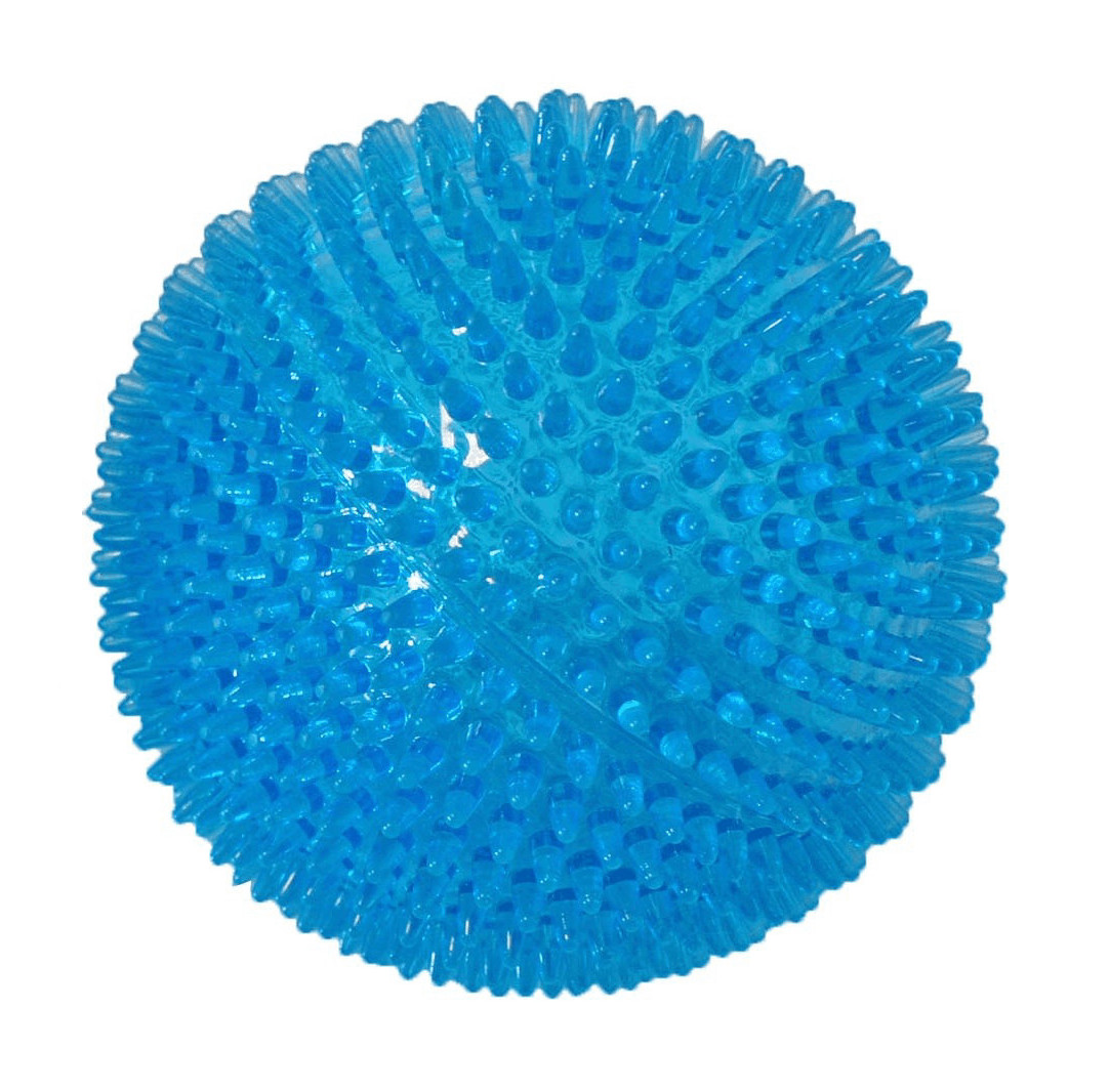 Drijvende bal met stekels blauw hondenspeeltje