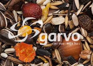 Garvo eekhoornvoer