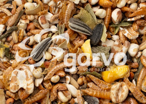 Garvo Pride Treats 2070 snoep voor kippen / siervogels