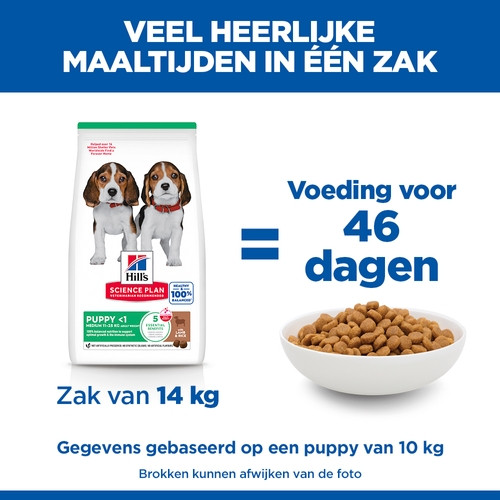 Hill's Puppy Medium met lam & rijst hondenvoer
