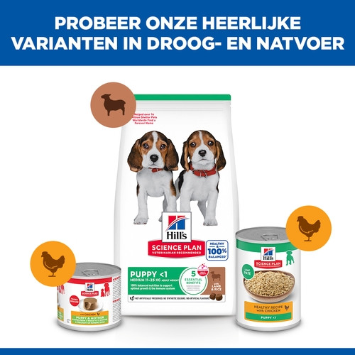 Hill's Puppy Medium met lam & rijst hondenvoer