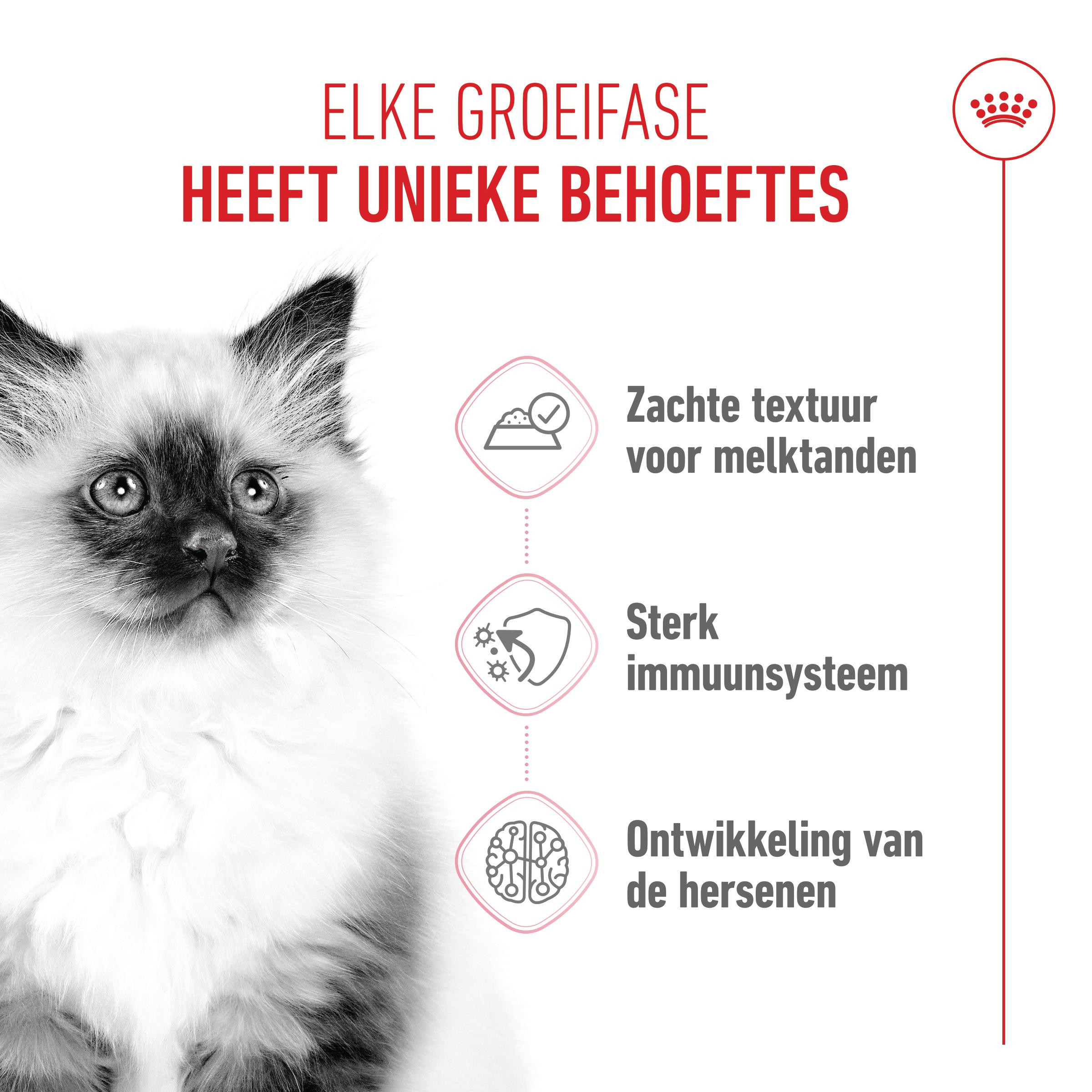 Royal Canin Kitten natvoer kat (in saus)