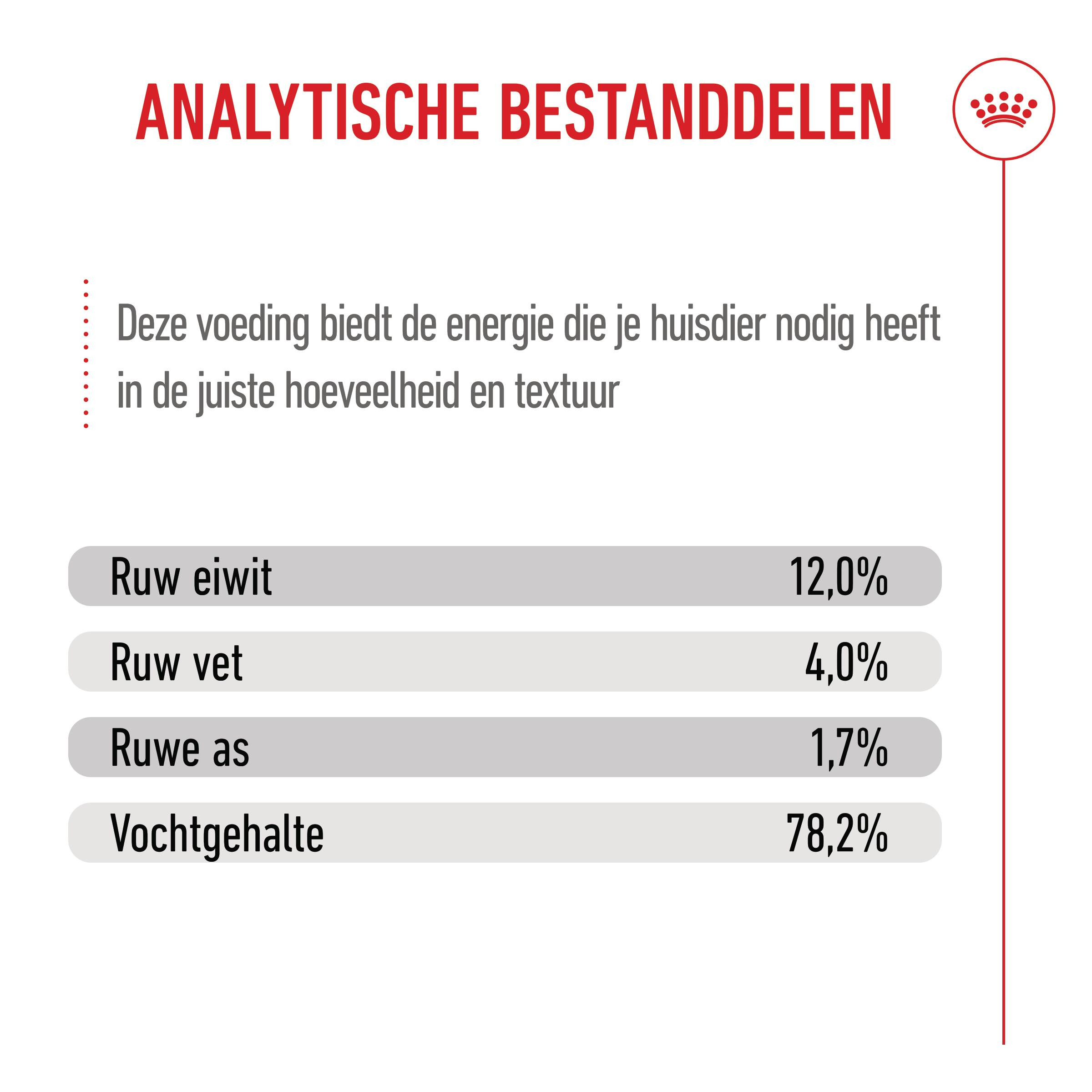 Royal Canin Kitten natvoer kat (in saus)