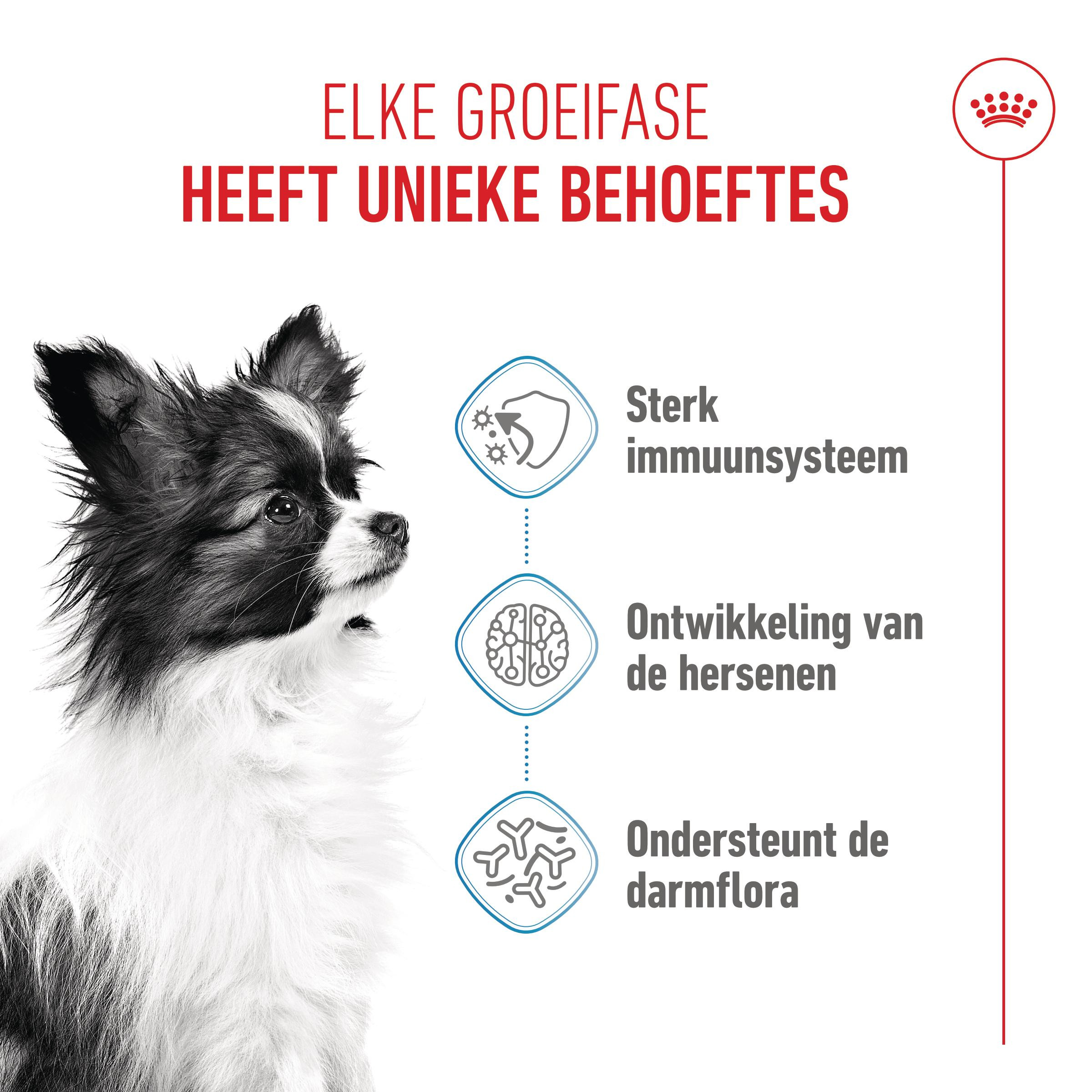 Royal Canin Mini X-Small Junior voor de hond