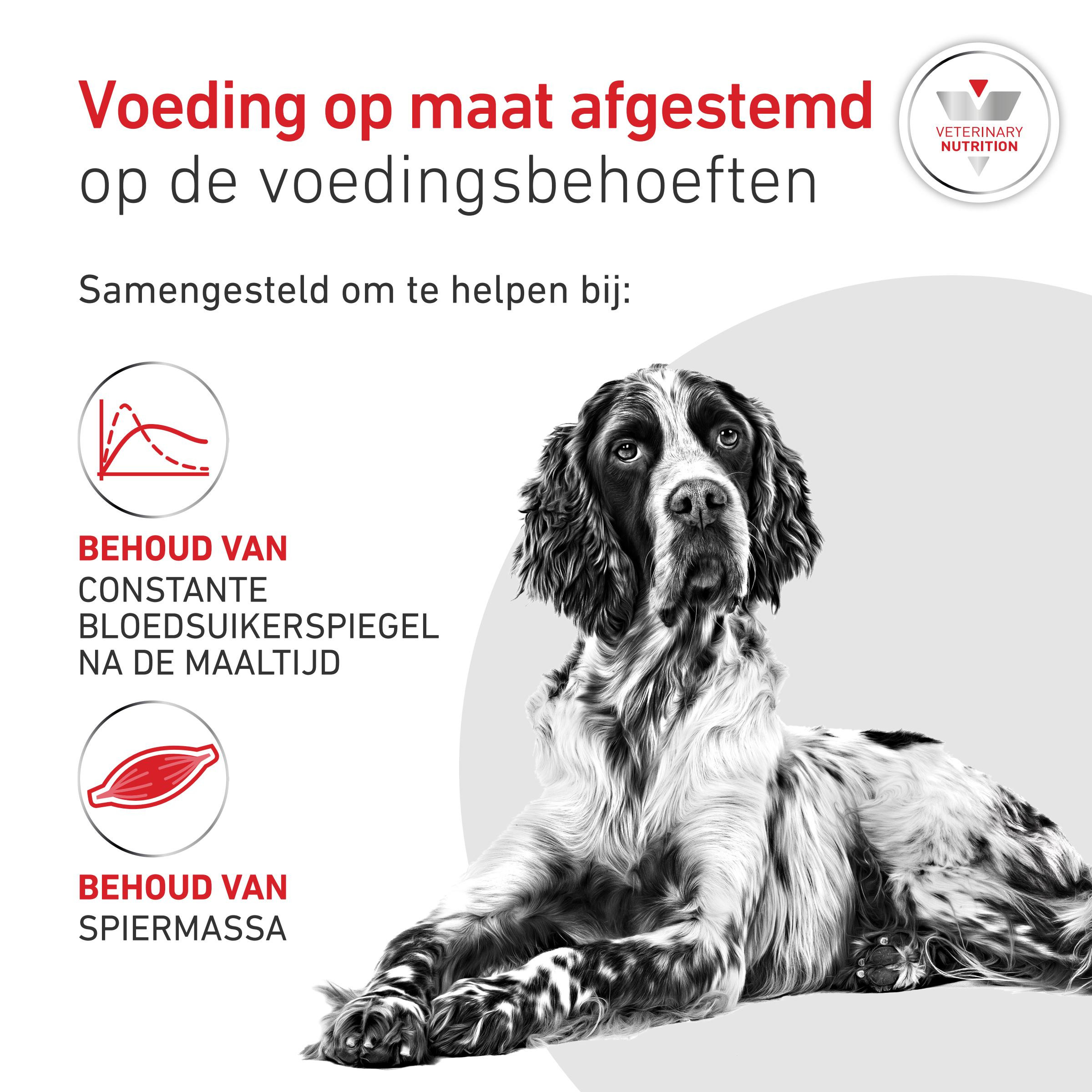 Royal Canin Veterinary Glycobalance natvoer hond (paté)