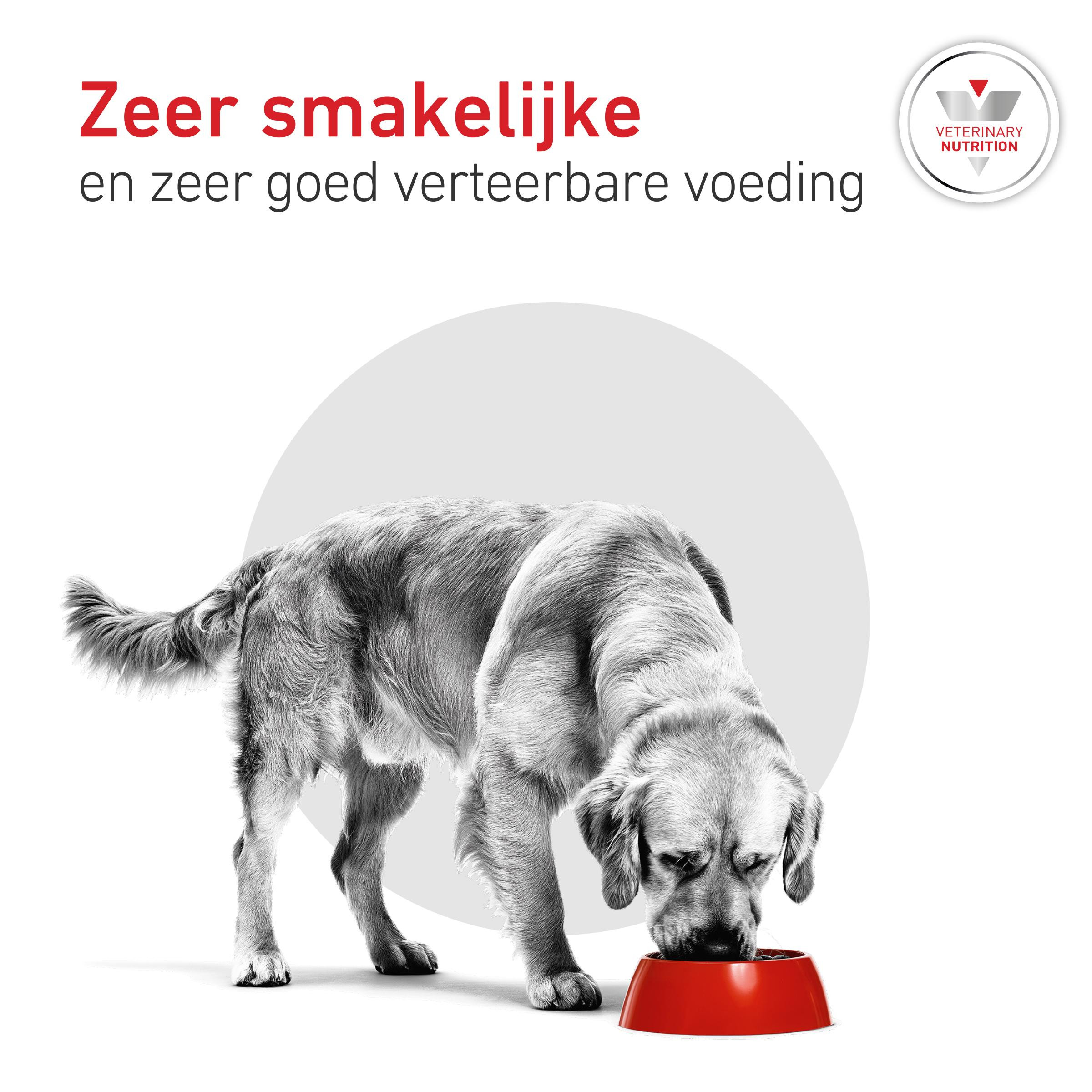 Royal Canin Veterinary Glycobalance natvoer hond (paté)