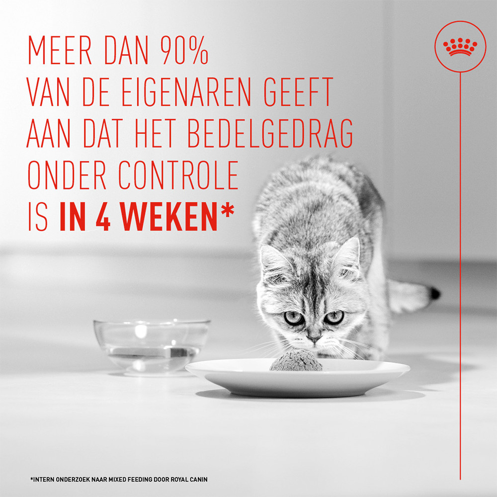 Royal Canin Appetite Control Airlift natvoer kat (mousse)