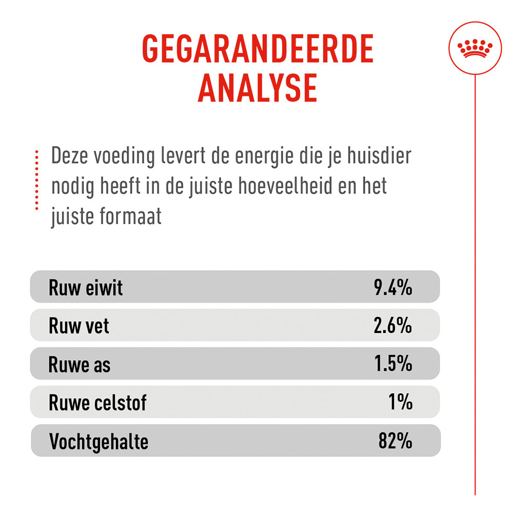 Royal Canin Appetite Control Airlift natvoer kat (mousse)