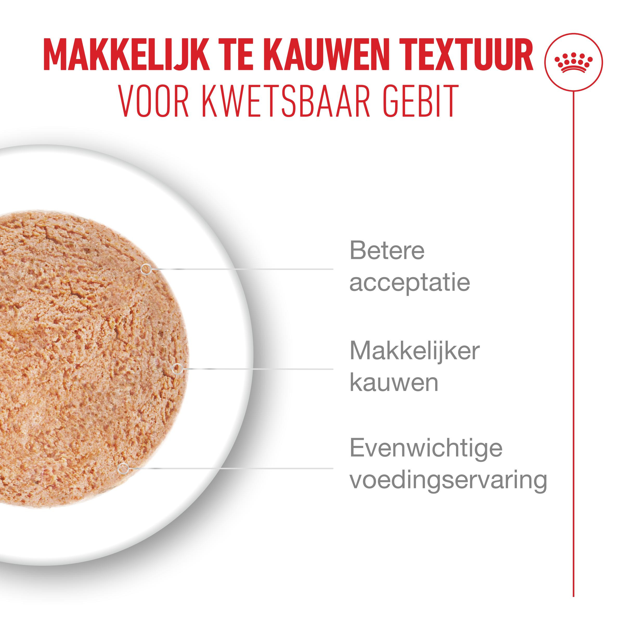 Royal Canin Ageing 11+ Airlift natvoer kat (mousse)