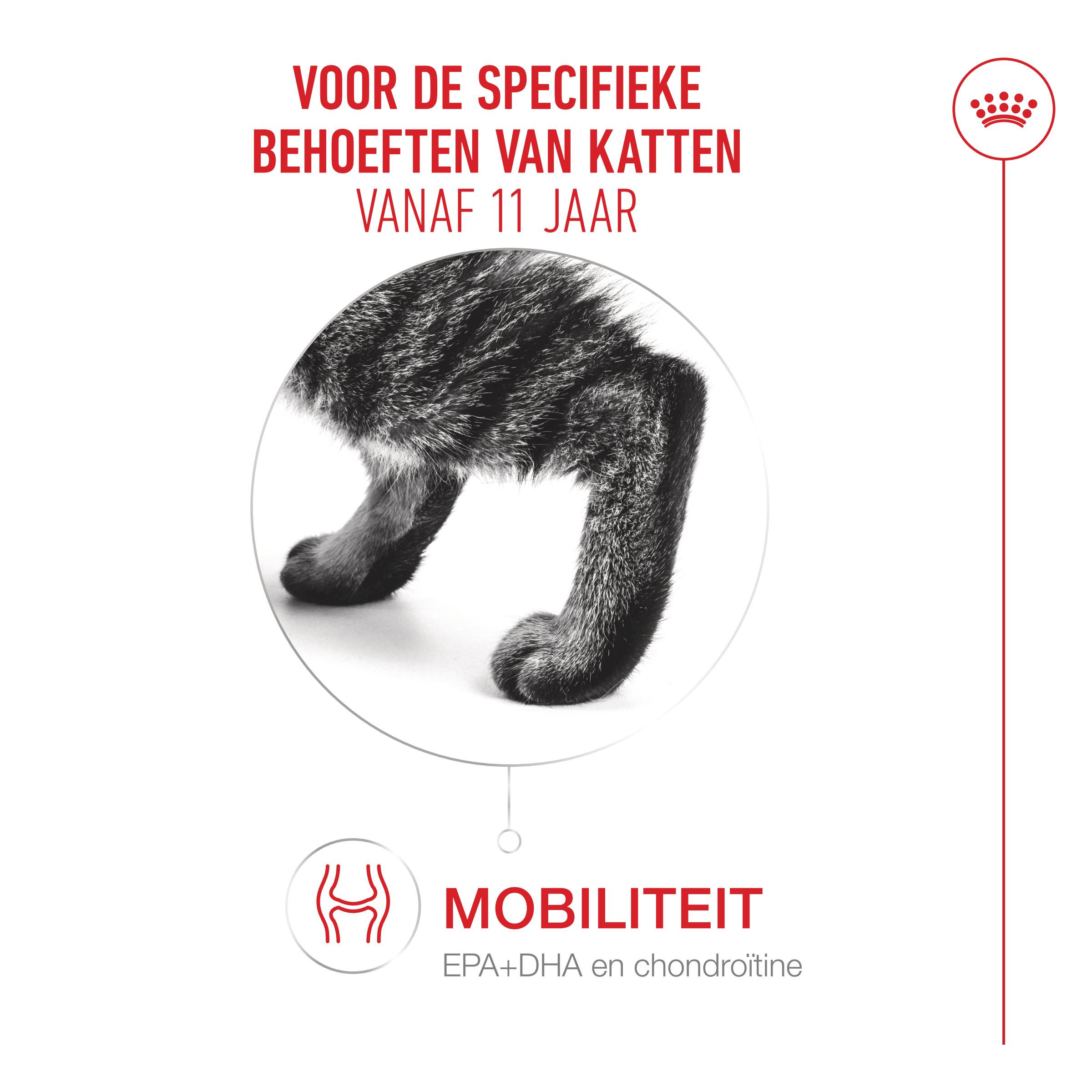 Royal Canin Ageing 11+ Airlift natvoer kat (mousse)