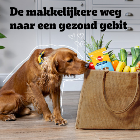 Pedigree Dentastix Light Large hondensnack vanaf 25 kg
