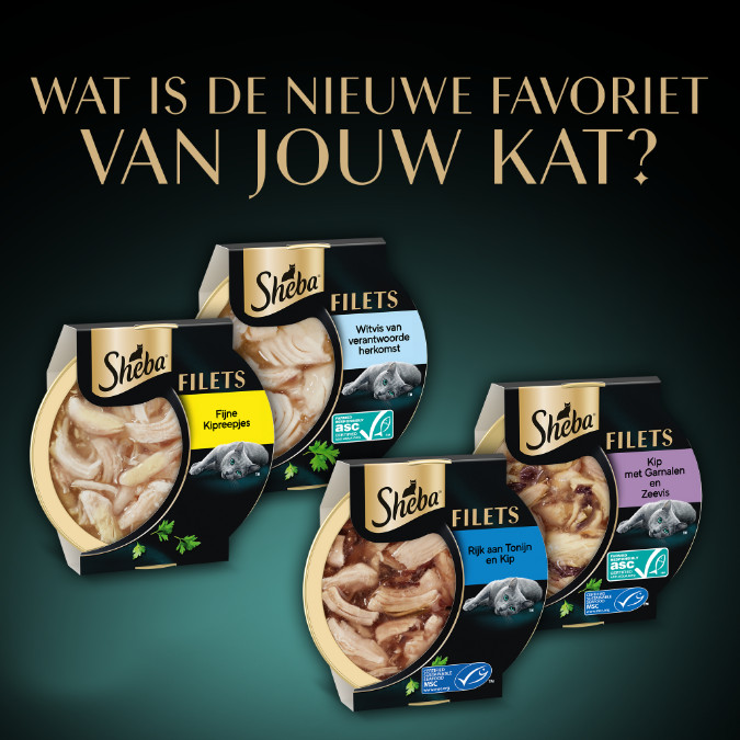 Sheba Filets Selection kip, oceaanvis-garnaal, zalm-tonijn natvoer kat multipack (kuipjes 60 g)