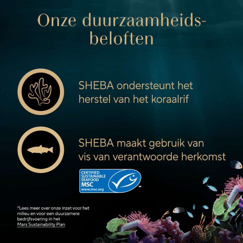 Sheba Filets Selection kip, oceaanvis-garnaal, zalm-tonijn natvoer kat multipack (kuipjes 60 g)
