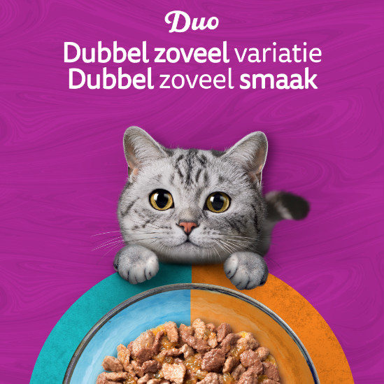 Whiskas 1+ Duo Surf & Turf in gelei maaltijdzakjes multipack