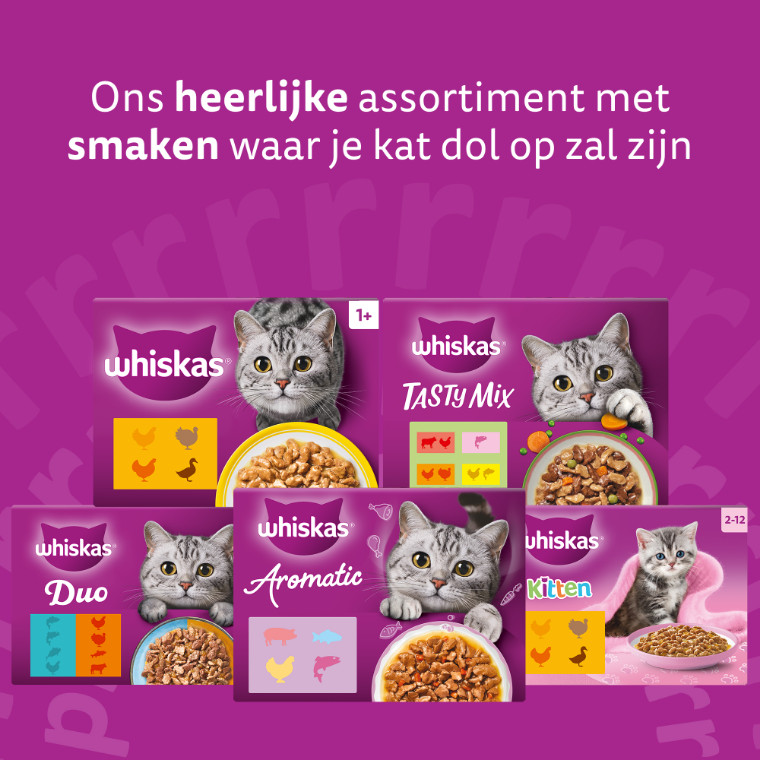 Whiskas 7+ Gevogelte Selectie in gelei natvoer kat multipack (zakjes 85 g)