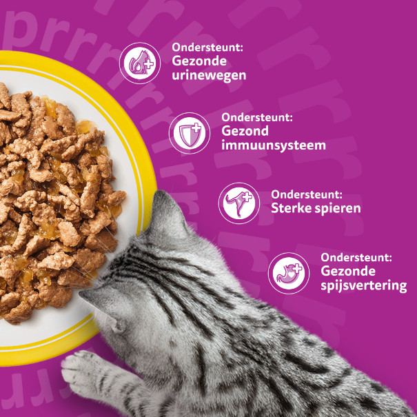 Whiskas 7+ Gevogelte Selectie in gelei natvoer kat multipack (zakjes 85 g)