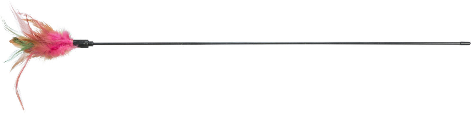 Hengel met veren