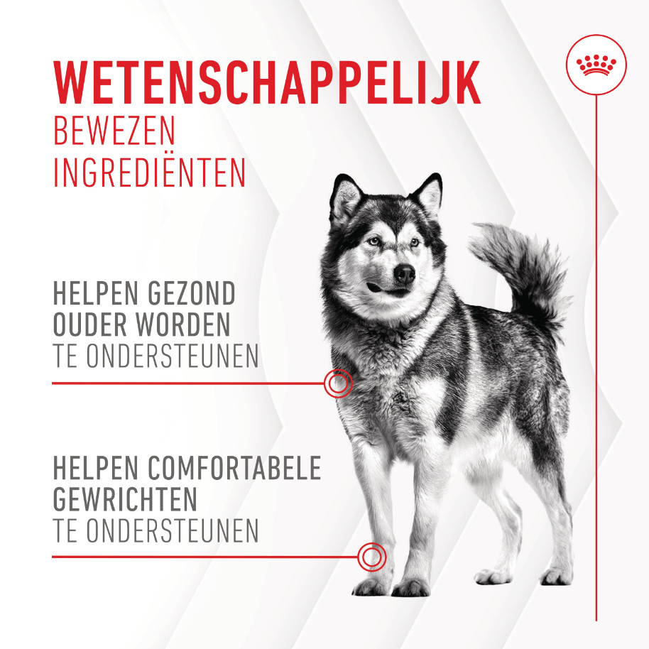 Royal Canin Joint & Ageing Chews voedingssupplement hond