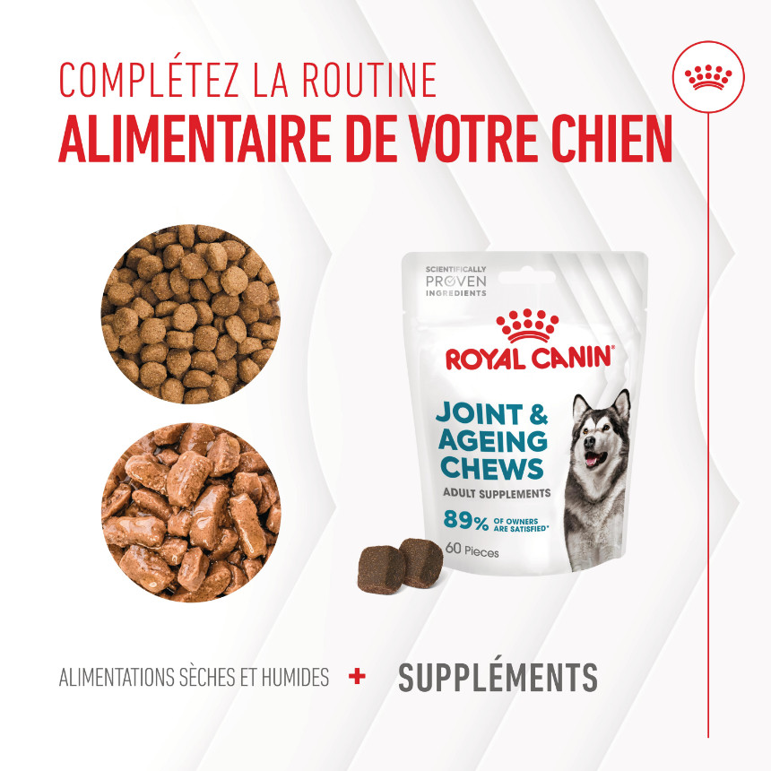 Royal Canin Joint & Ageing Chews voedingssupplement hond