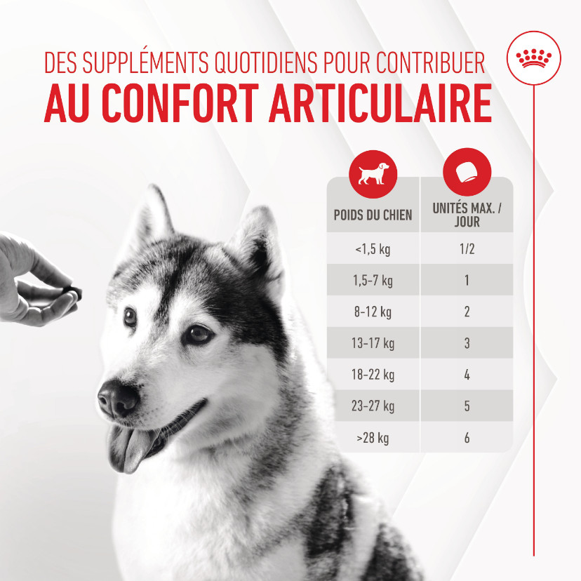 Royal Canin Joint & Ageing Chews voedingssupplement hond