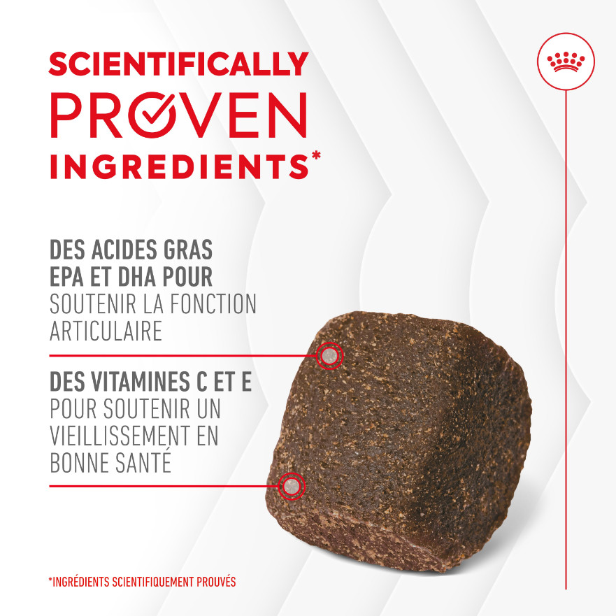 Royal Canin Joint & Ageing Chews voedingssupplement hond