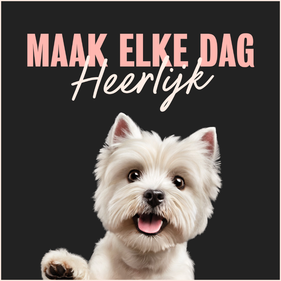 Cesar Cuisine in saus multipack natvoer hond alukuipjes (150 g)