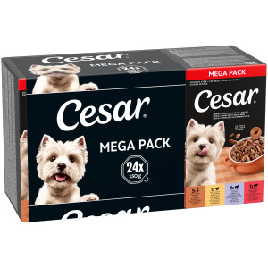 Cesar Cuisine in saus multipack natvoer hond alukuipjes (150 g) 2 verpakkingen (48 x 150 g)