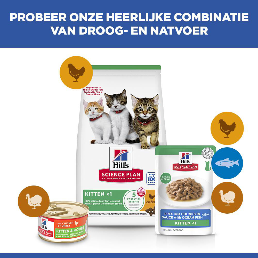 Hill's Kitten nat kattenvoer met zeevis maaltijdzakje multipack