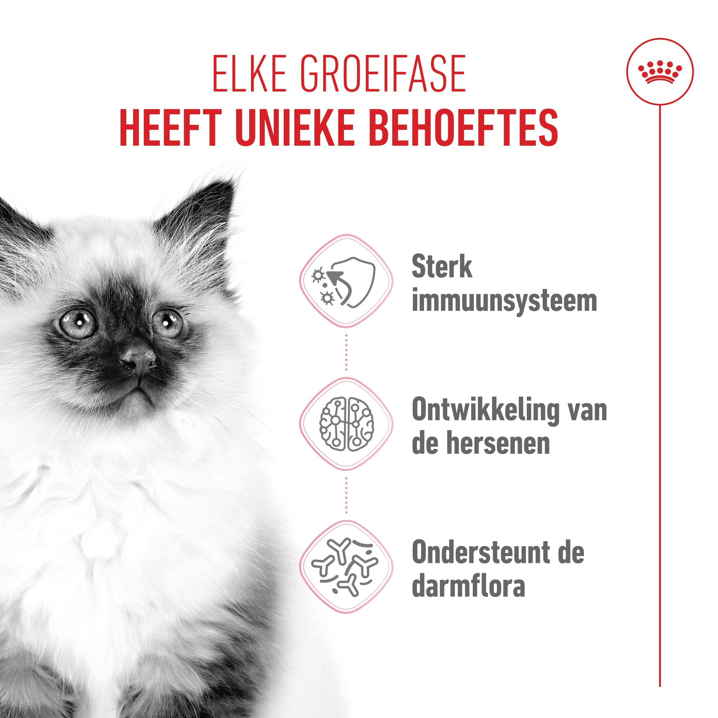Royal Canin Kitten kattenvoer