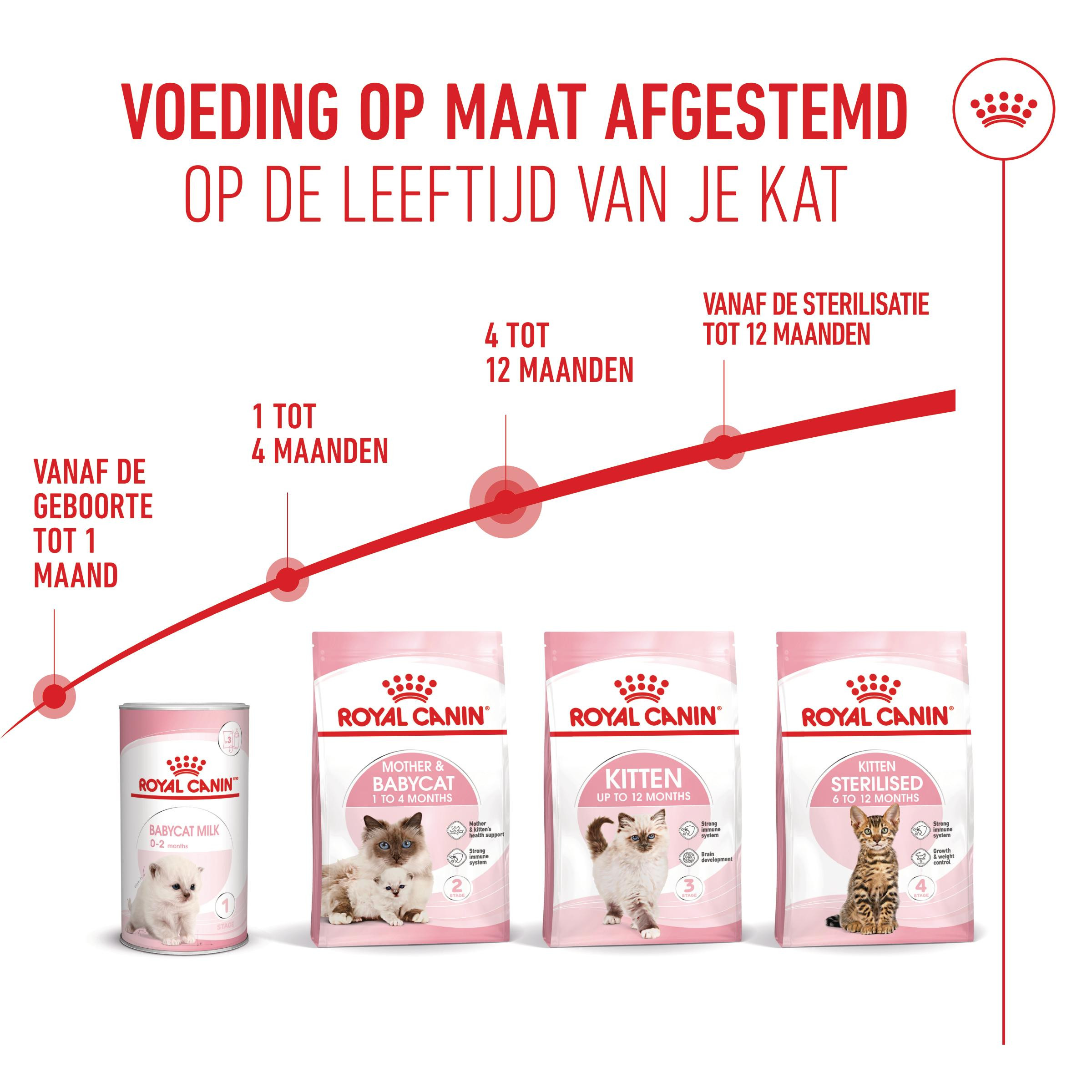 Royal Canin Kitten kattenvoer