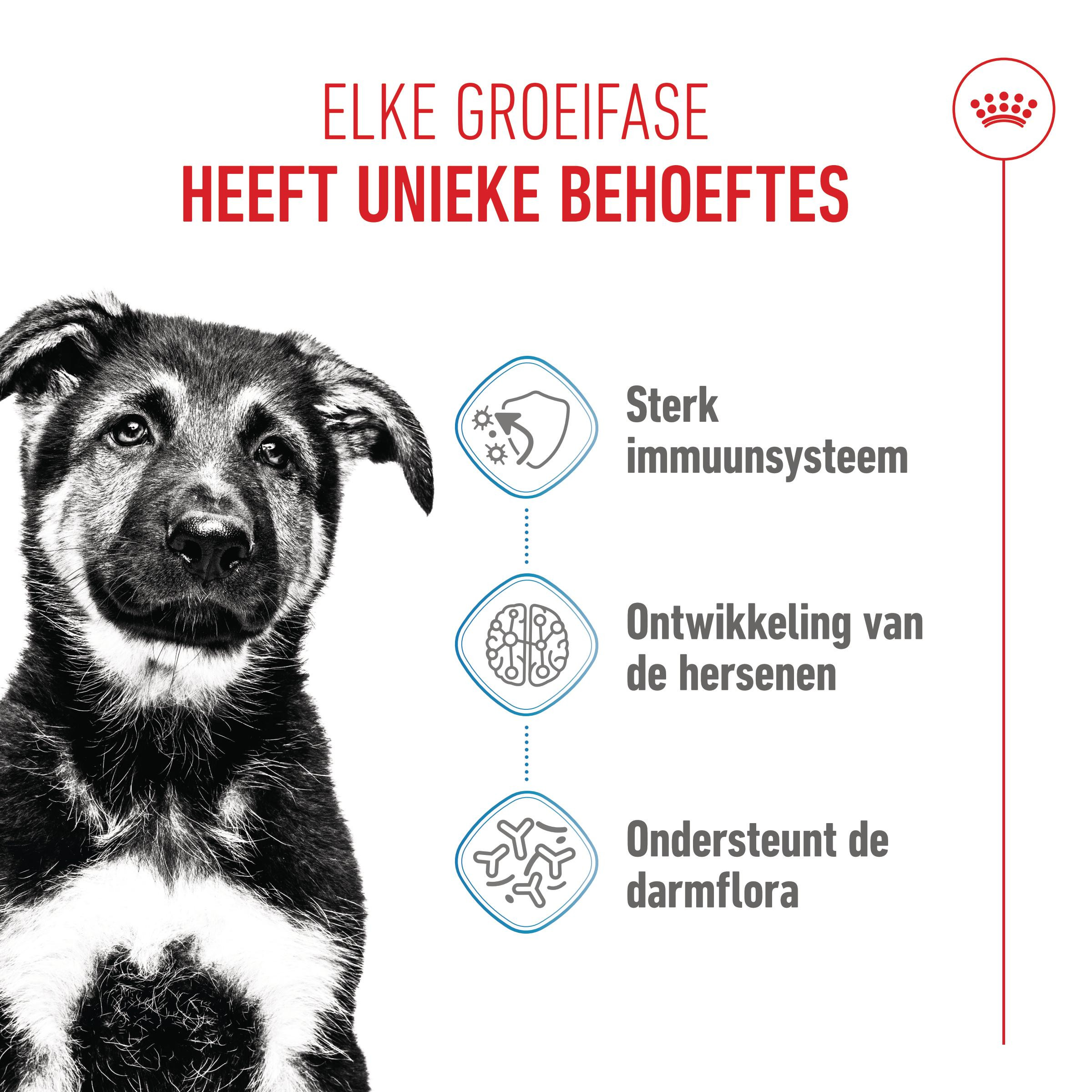 Royal Canin Maxi Puppy hondenvoer