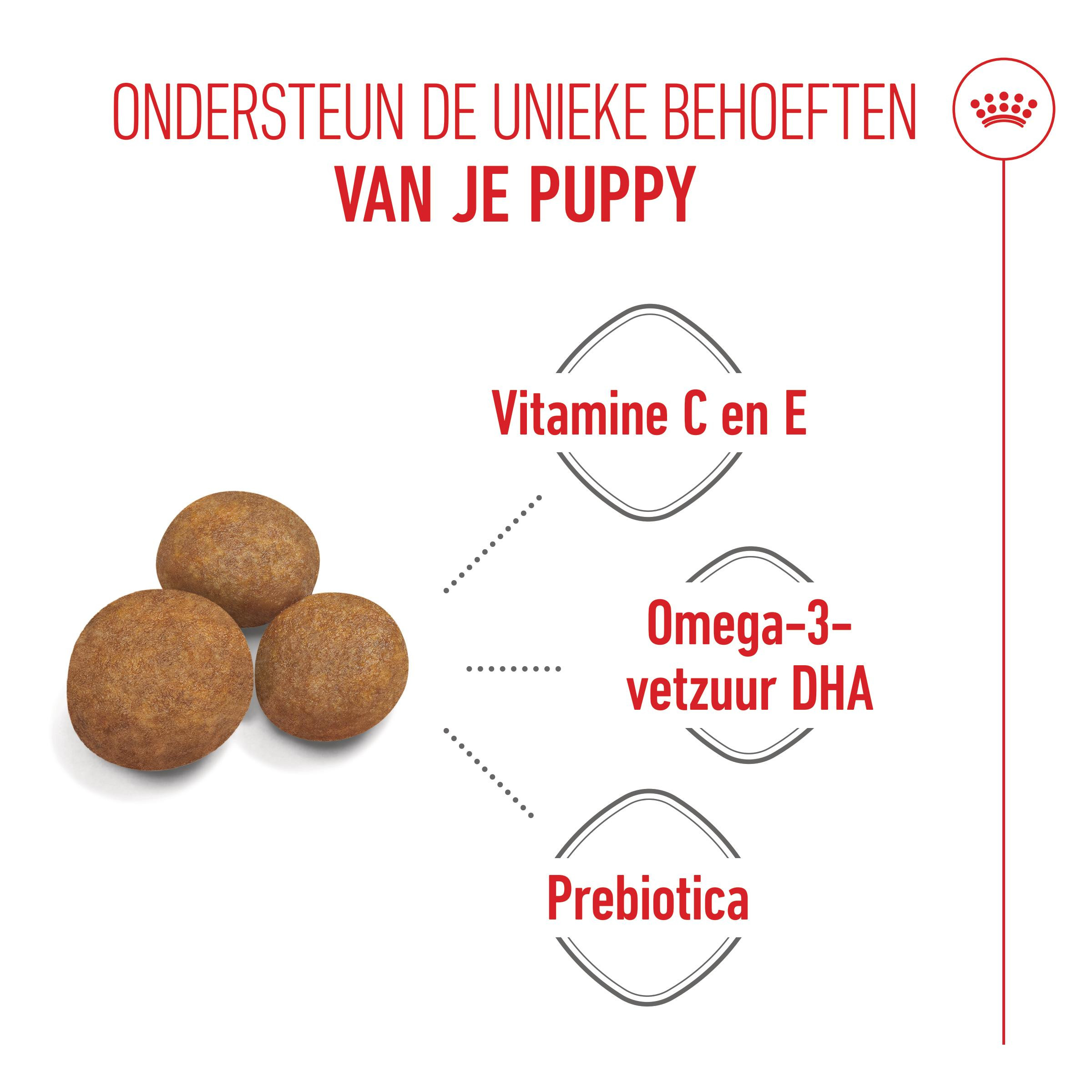 Royal Canin Maxi Puppy hondenvoer