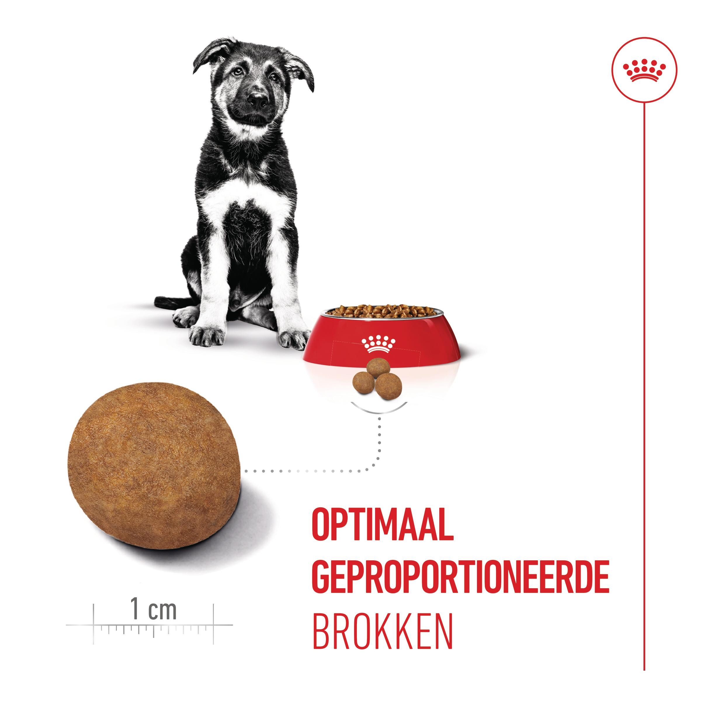 Royal Canin Maxi Puppy hondenvoer