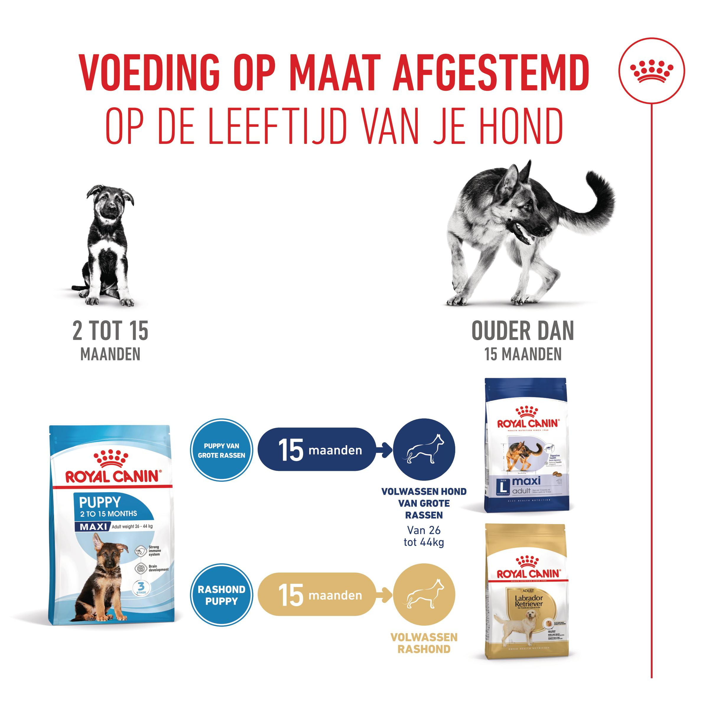Royal Canin Maxi Puppy hondenvoer