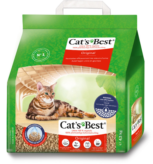 Cats best