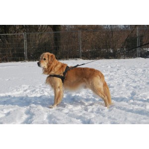 Hurtta Padded Harness 35 cm voor de hond zwart - groen Hurtta Padded Harness 35 cm voor de hond zwart - groen