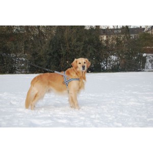 Hurtta Padded Harness 110 cm voor de hond bruin - rood Hurtta Padded Harness 110 cm voor de hond bruin - rood