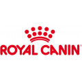 Royal Canin natvoer kat