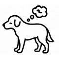 Ouderdom en dementie hond