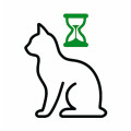 Ouderdom en dementie kat