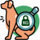 Gesteriliseerd en overgewicht hond