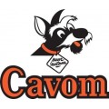 Cavom hondenvoer