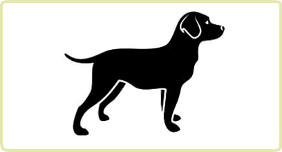 Crocchette Royal Canin Online A Prezzi Bassi Brekzit