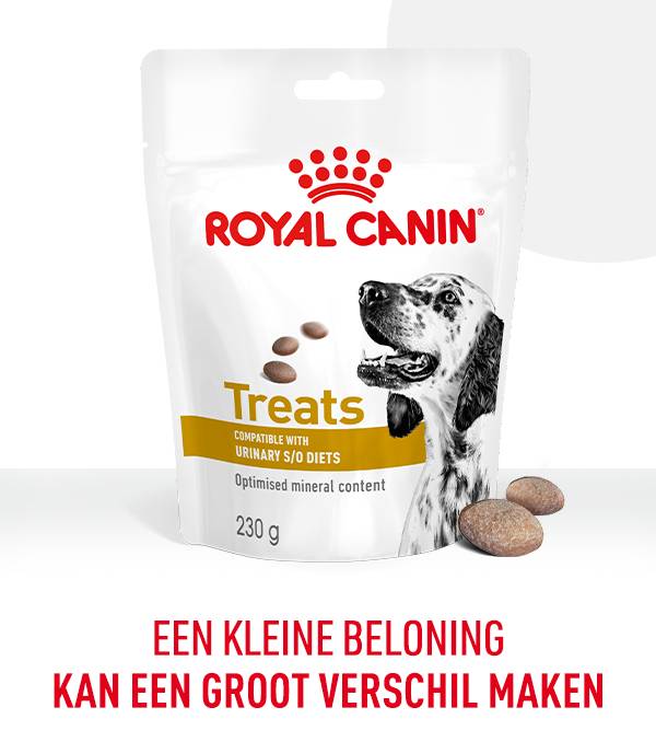 Catisfactions hondensnacks, kattensnacks folder aanbieding bij Albert