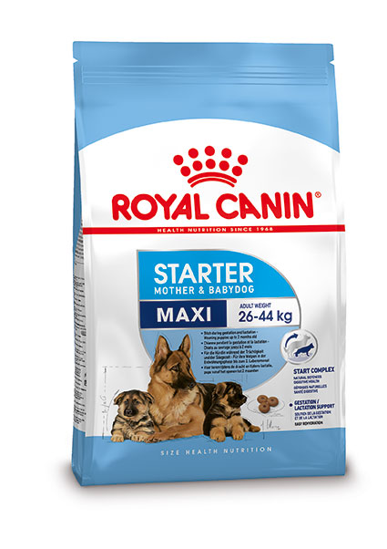 Afbeelding Royal Canin Maxi Starter Mother and Babydog 4 kg door Brekz.nl