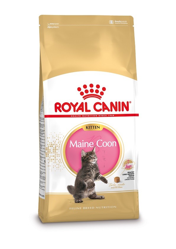 Afbeelding Royal Canin Kitten Maine Coon kattenvoer 10 kg door Brekz.nl